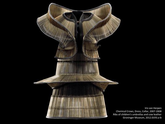 Iris Van Herpen: Art Meets Cutting Edge Technology